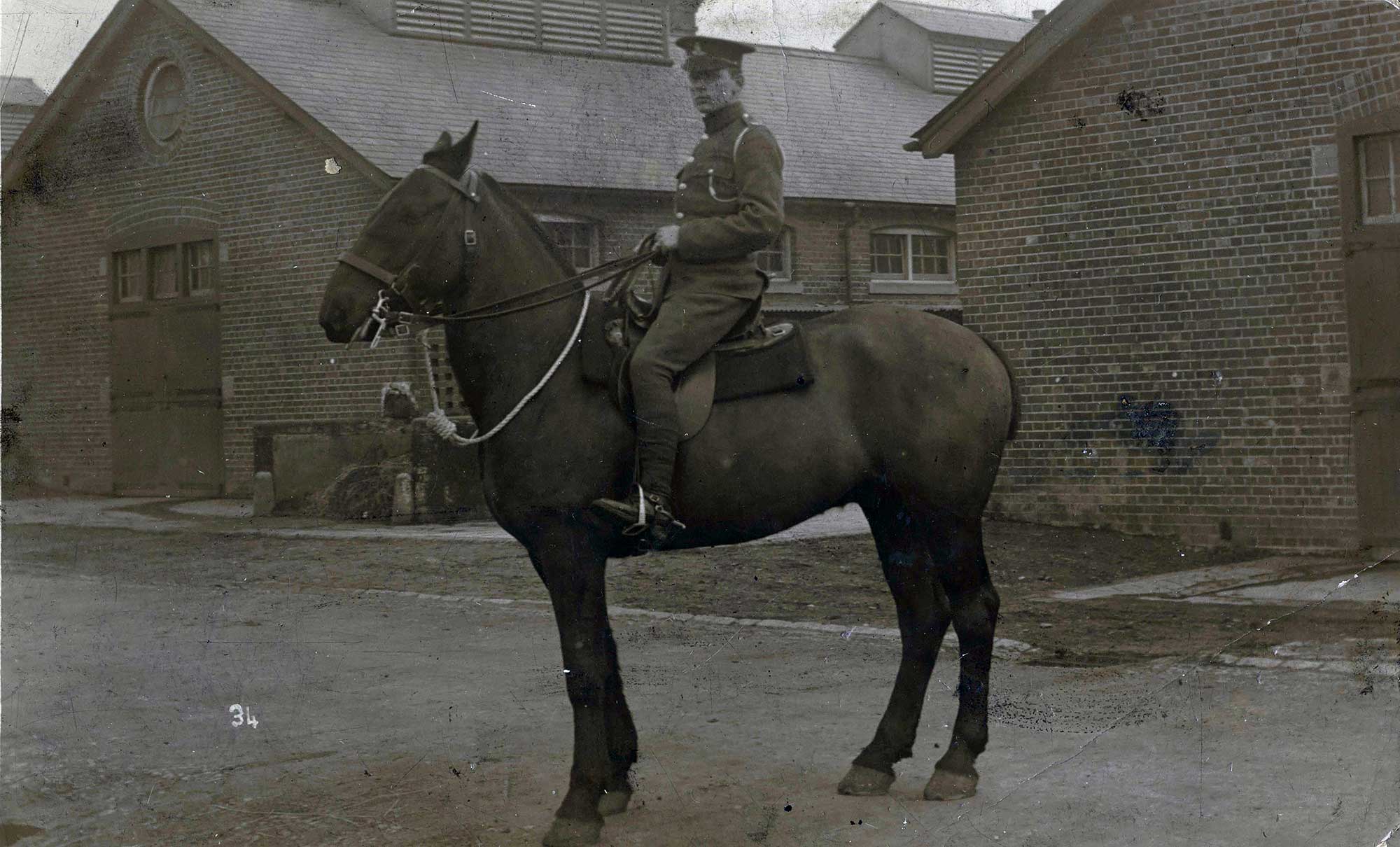 Fred on horse