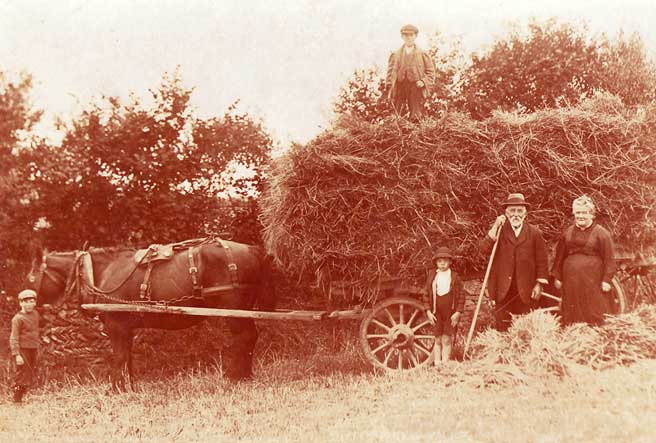 Haycart