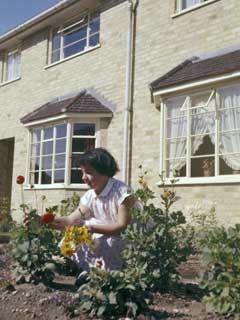 Rosemary