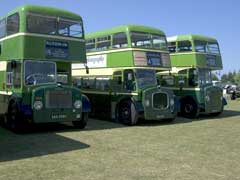 Three buses