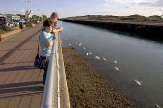 River Arun - downstream