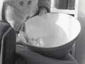 Housework