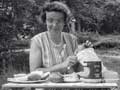 Picnics