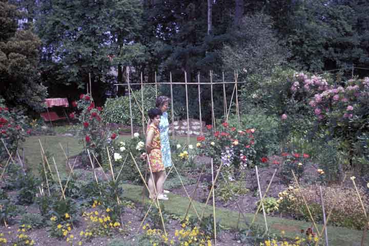Rosemary and Vera