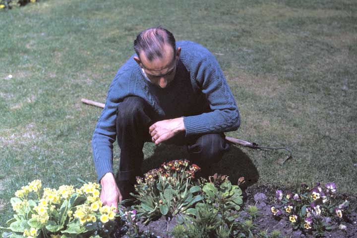 Les