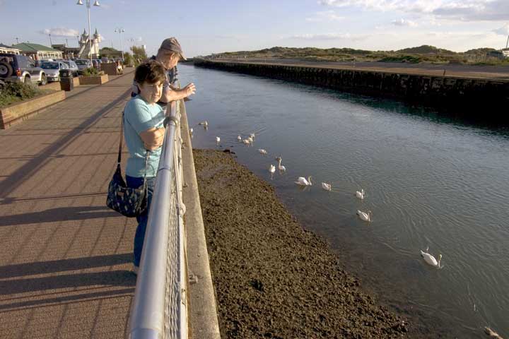 River Arun - downstream