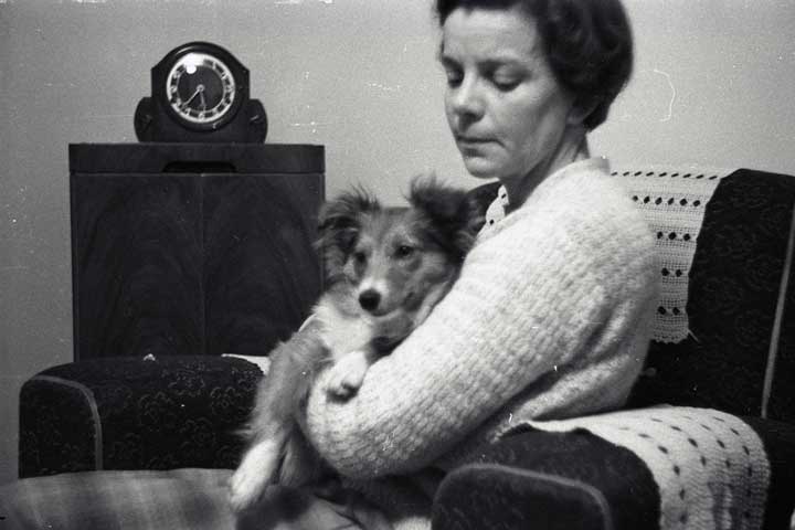 Vera and TV