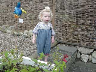 Freya in the garden